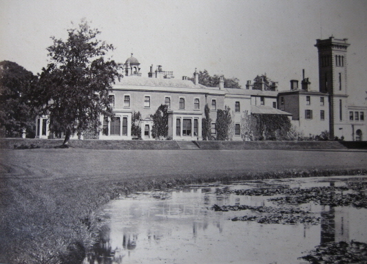 The South Front